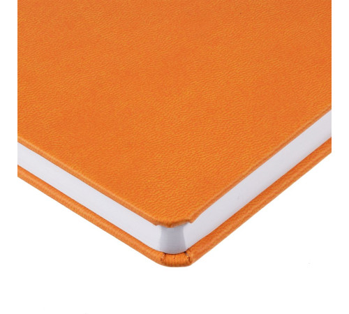 Ежедневник Base Mini, недатированный, оранжевый