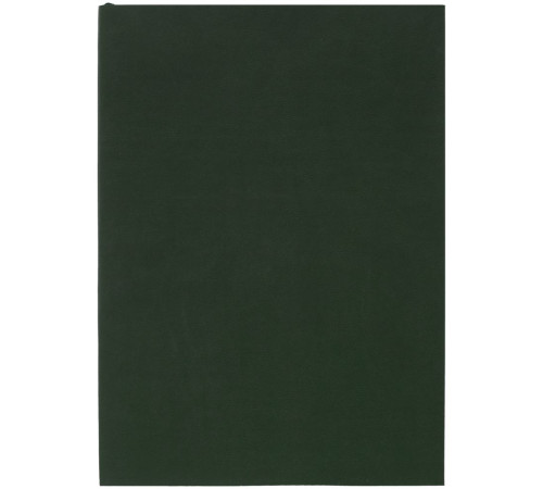 Ежедневник Flat, недатированный, зеленый