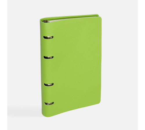 Ежедневник Ringo, недатированный, зеленый