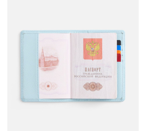 Обложка для паспорта Unison, голубая