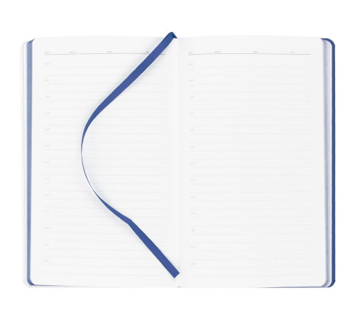 Ежедневник Duplex, недатированный, белый с синим