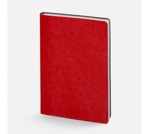 Набор Nebraska Flex, красный с серебристым