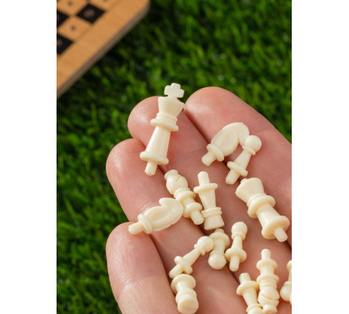 Шахматы дорожные Damier