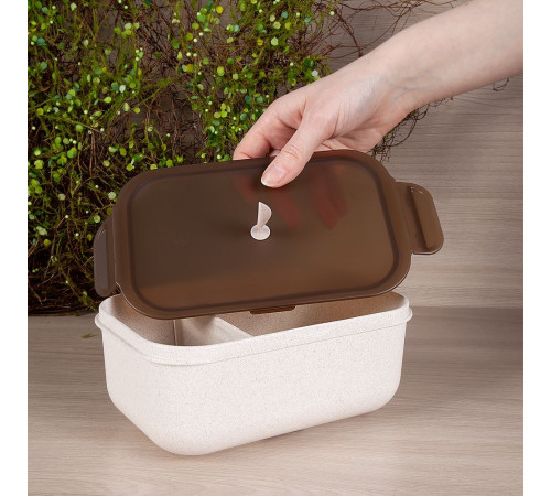 Набор ланчбоксов greenMeal