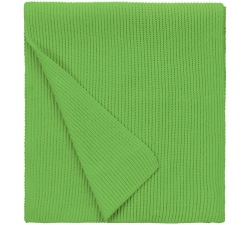 Шарф Life Explorer, зеленый (салатовый)