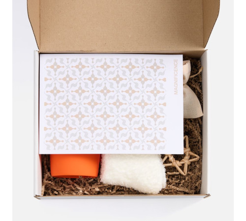 Набор Sockshire, оранжевый