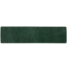 Лейбл кожаный Pasek, зеленый