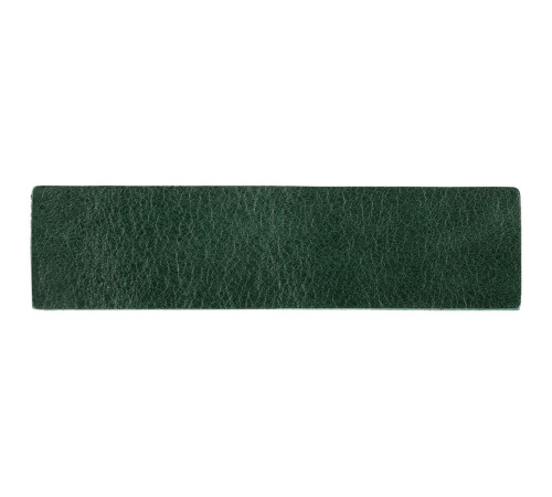 Лейбл кожаный Pasek, зеленый