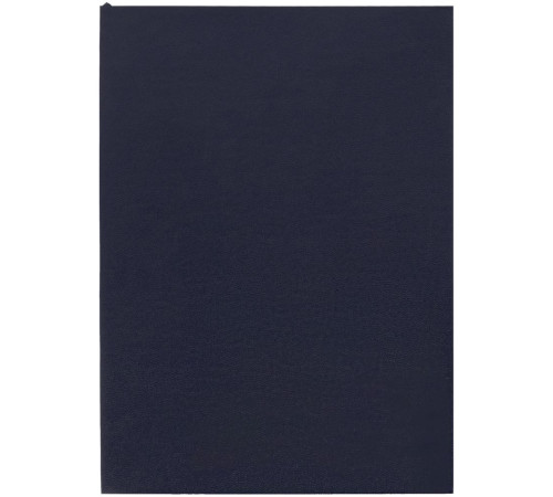 Ежедневник Flat Light, недатированный, иссиня-черный
