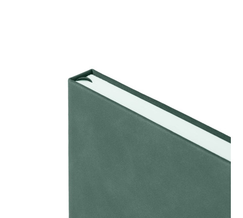 Ежедневник Horizon, недатированный, серый с зеленым