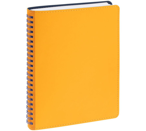 Набор Spring Shall, синий с желтым