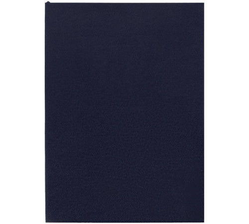 Ежедневник Flat, недатированный, иссиня-черный