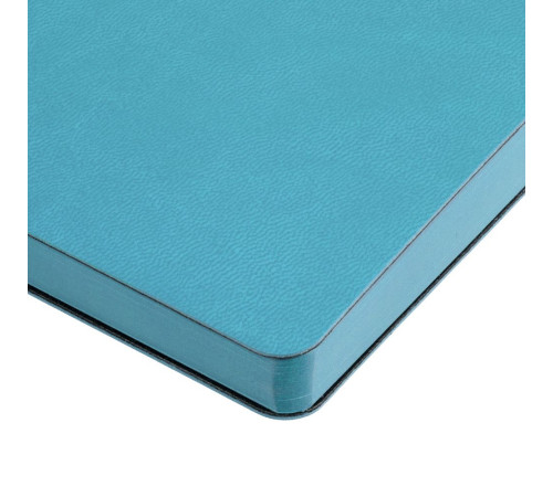 Ежедневник Fredo, недатированный, голубой