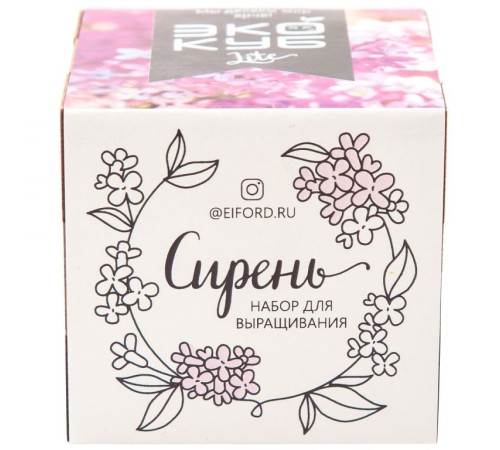 Набор для выращивания «Экокуб Lite», сирень