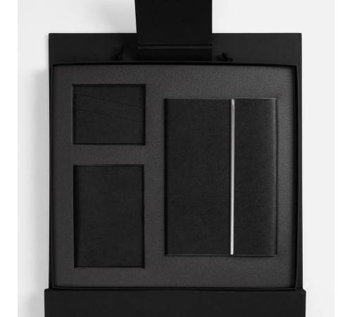 Набор Petrus Flap, черный