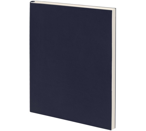 Ежедневник Flat Light, недатированный, иссиня-черный