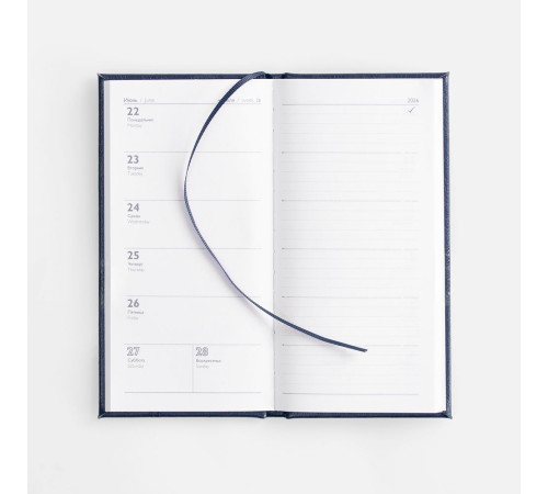 Еженедельник Baza, датированный, синий