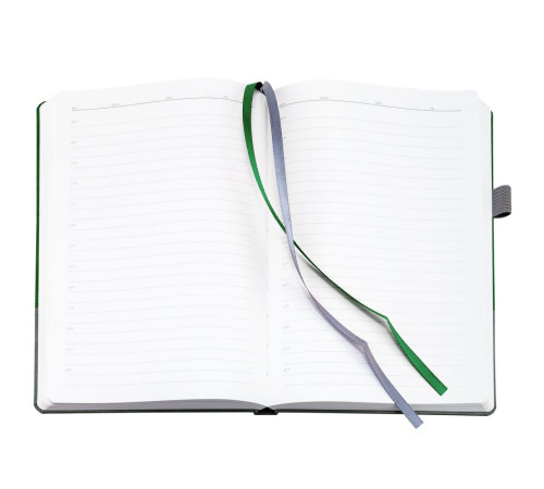 Ежедневник Horizon, недатированный, серый с зеленым