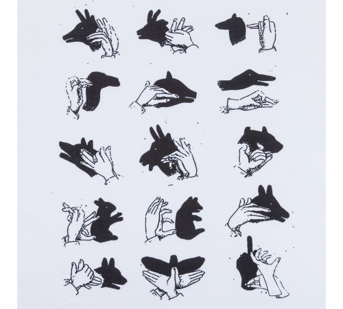 Футболка женская «Неочевидное»