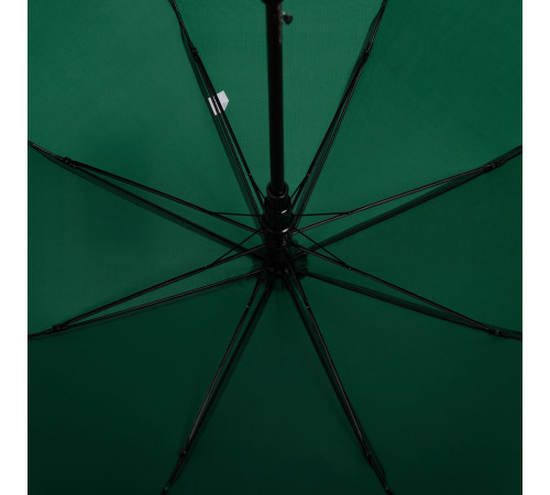 Зонт-трость Standard, зеленый