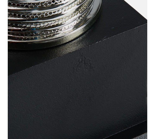 Кубок-факел Flamous Glory