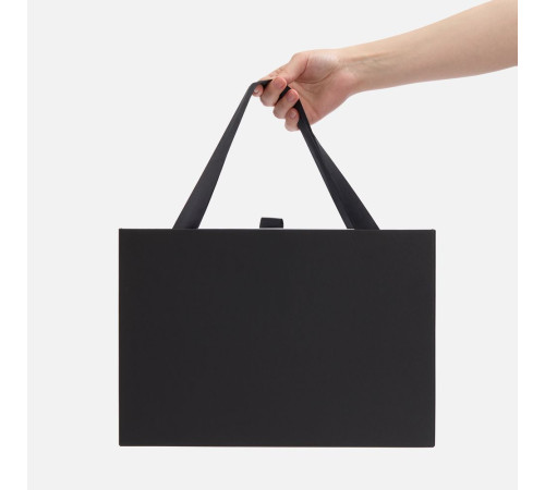 Коробка Regalis, черная