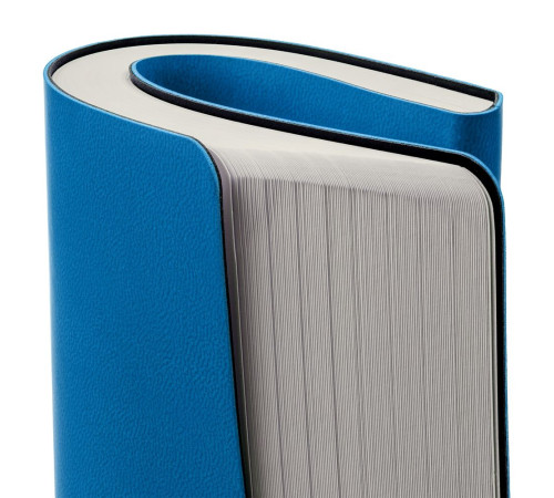 Ежедневник Romano, недатированный, ярко-синий