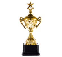 Кубок Top Star, золотистый