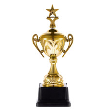 Кубок Top Star, золотистый