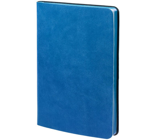 Ежедневник Neat Mini, недатированный, синий