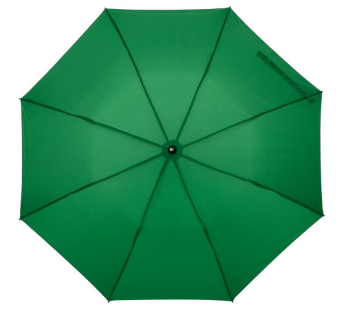 Зонт складной Rain Spell, зеленый