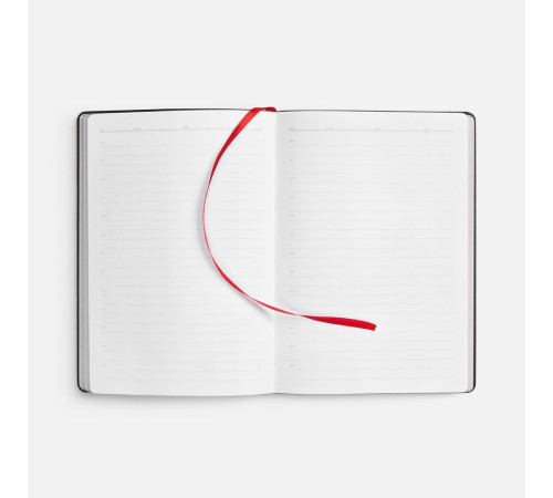 Ежедневник Nebraska Flex, недатированный, красный с серебристым