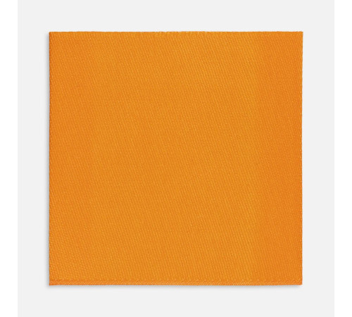 Лейбл тканевый Epsilon, L, оранжевый