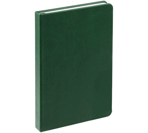 Ежедневник Base Mini, недатированный, зеленый