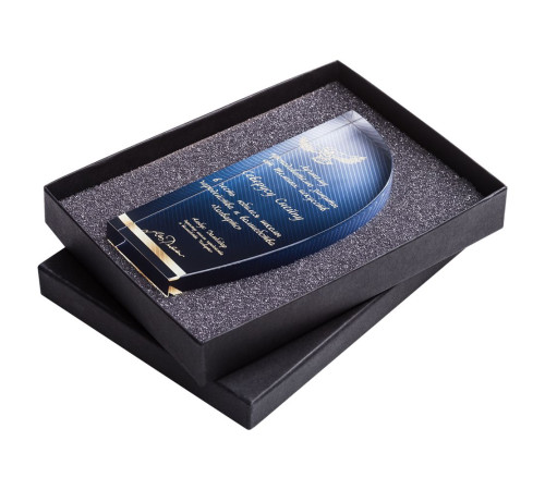 Награда «Попутный ветер»