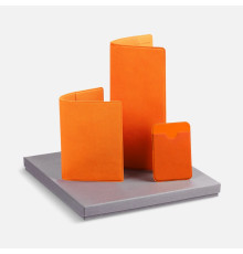 Набор Devon, оранжевый