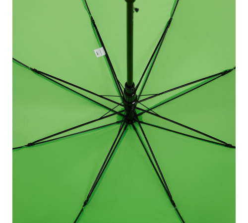 Зонт-трость Standard, зеленое яблоко