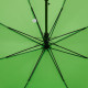 Зонт-трость Standard, зеленое яблоко