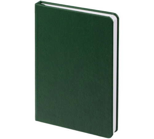 Ежедневник Base Mini, недатированный, зеленый