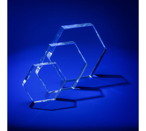 Награда Bee, большая