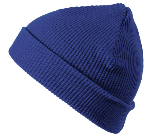 Шапка Life Explorer, ярко-синяя (василек)
