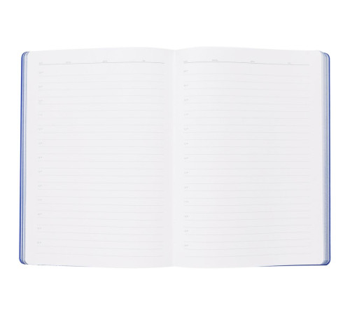 Ежедневник Flexpen, недатированный, серебристо-синий