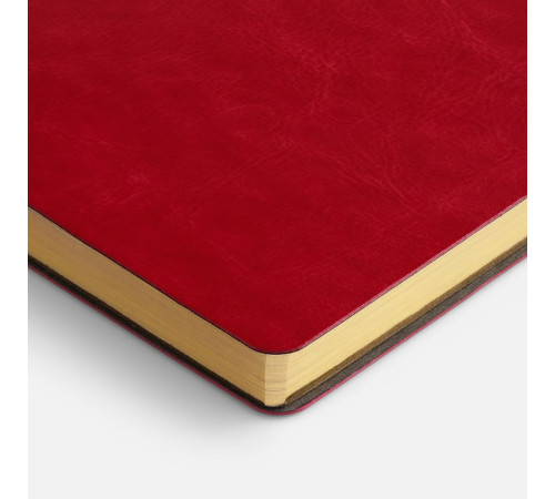 Ежедневник Nebraska Flex, недатированный, красный с золотистым