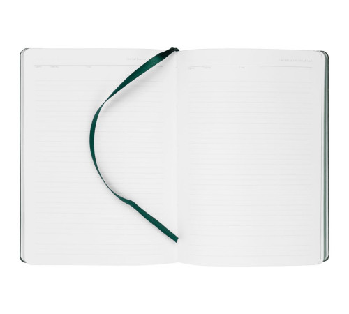 Ежедневник New Latte, недатированный, зеленый