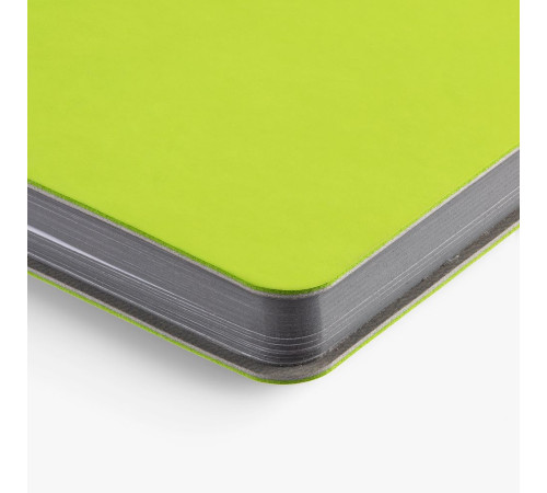 Ежедневник Flexpen Mini, недатированный, светло-зеленый