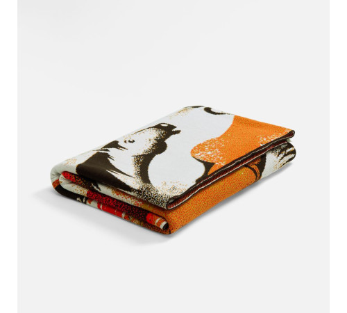 Плед «Огнегривые»