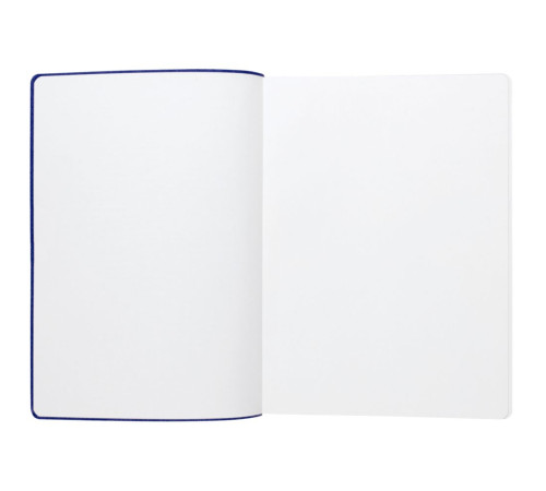 Ежедневник Flexpen, недатированный, серебристо-синий