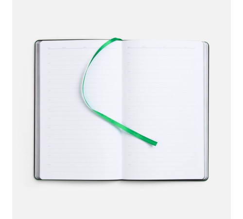 Ежедневник Trait, недатированный, черный с зеленым