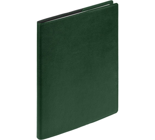 Ежедневник в суперобложке Brave Book, недатированный, зеленый