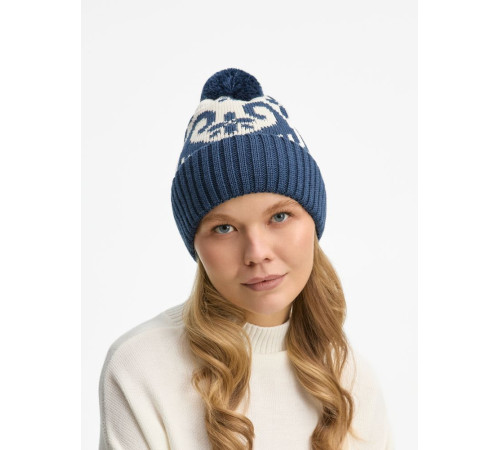 Шапка Wintertude, синяя с белым